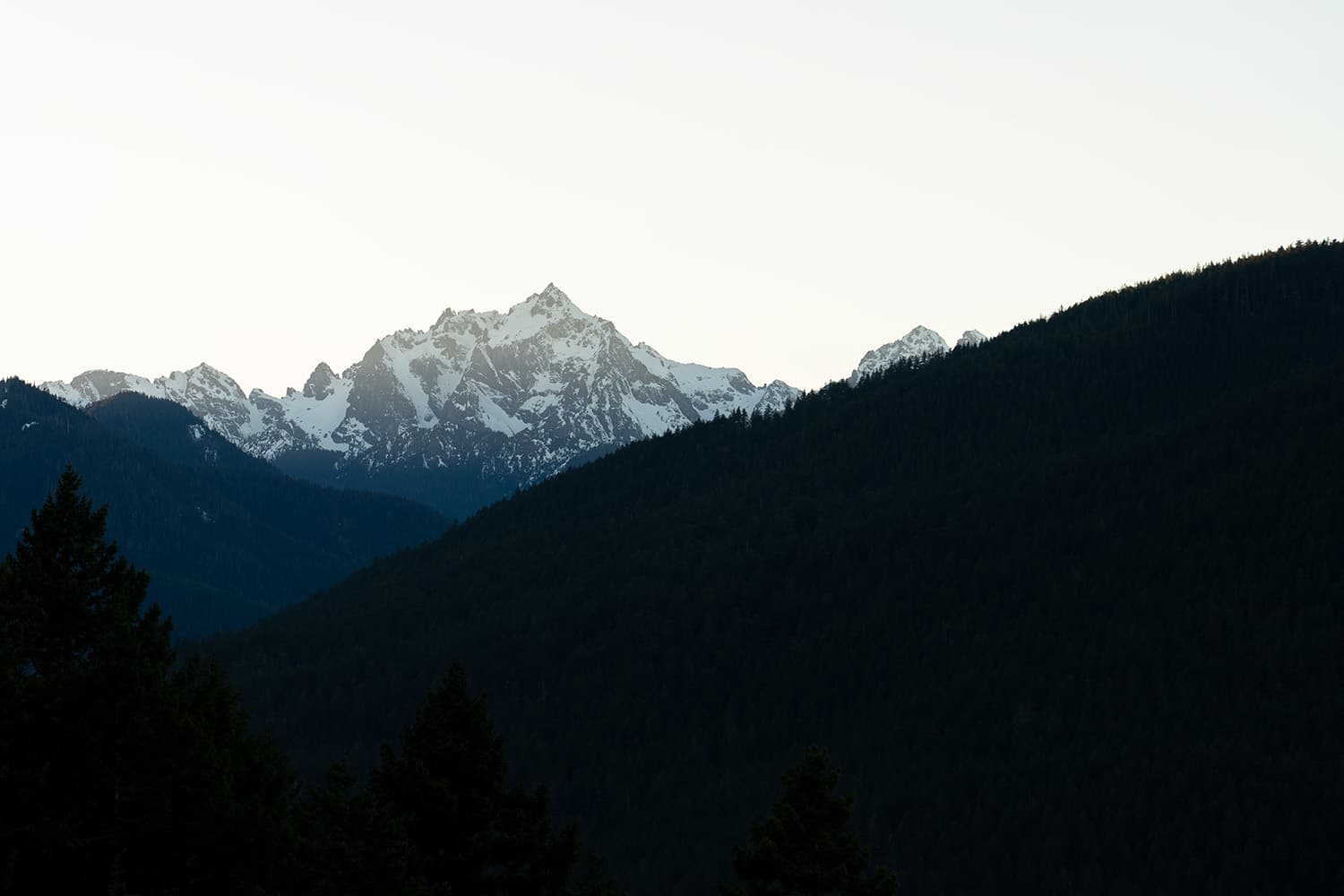 Mount Walker Hiking Guide: Stunning Views & Year-Round Accessibility in Olympic National Forest